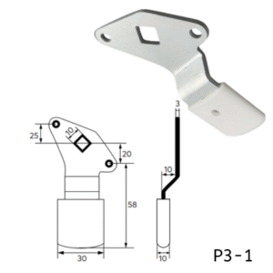 P3
